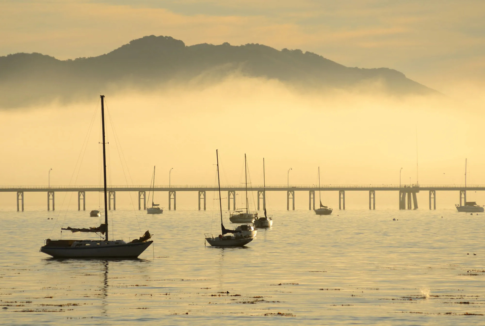 Inn at San Luis Obispo