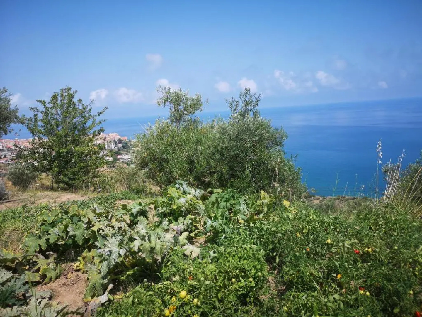 Villa Niccolò with stunning sea view swimming pool