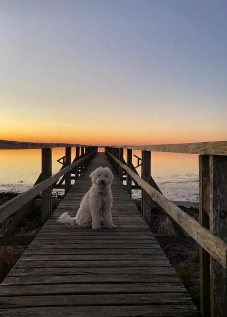 Friesenstuv Modern Retreat