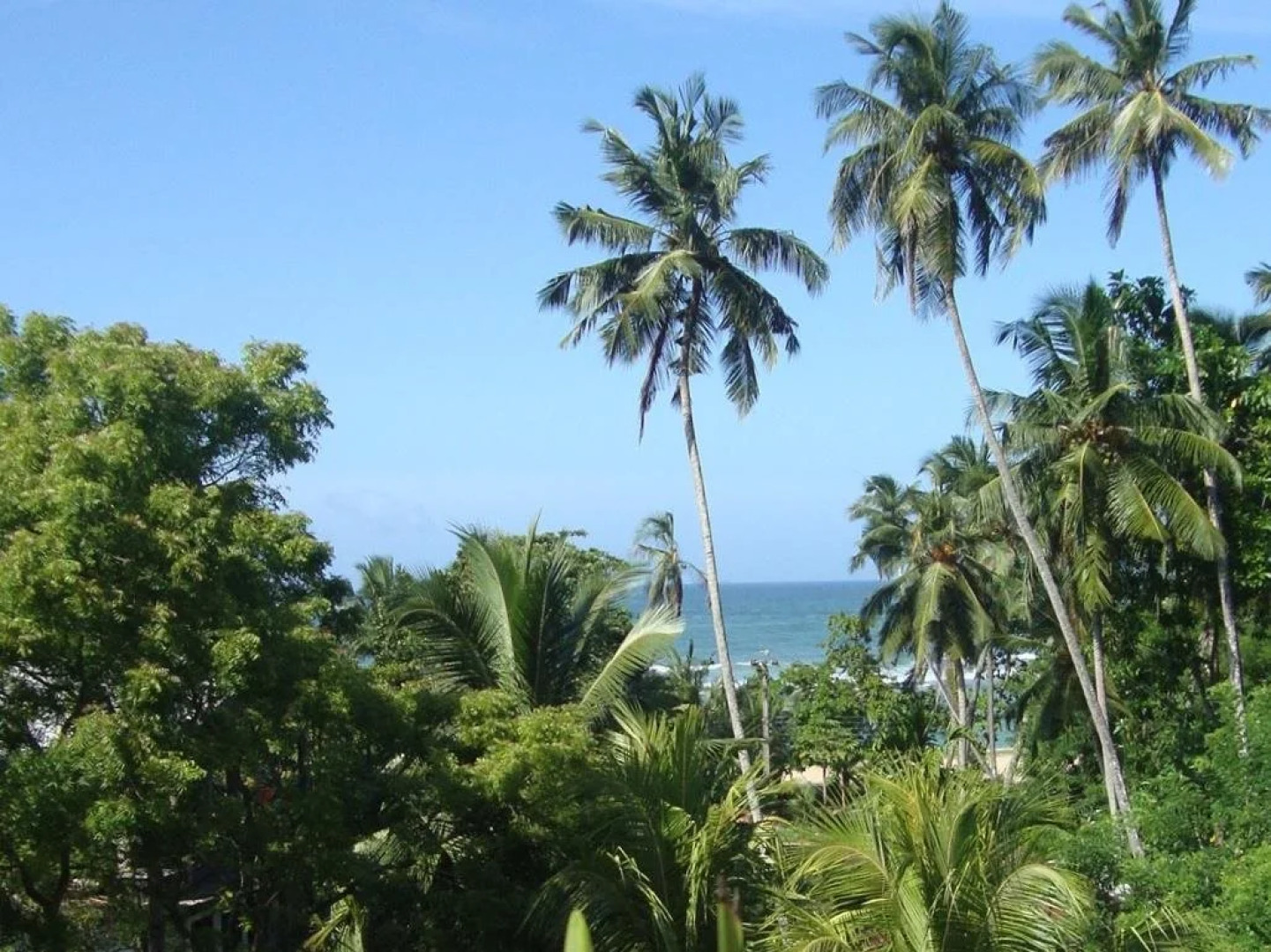 Black Beauty Guesthouse