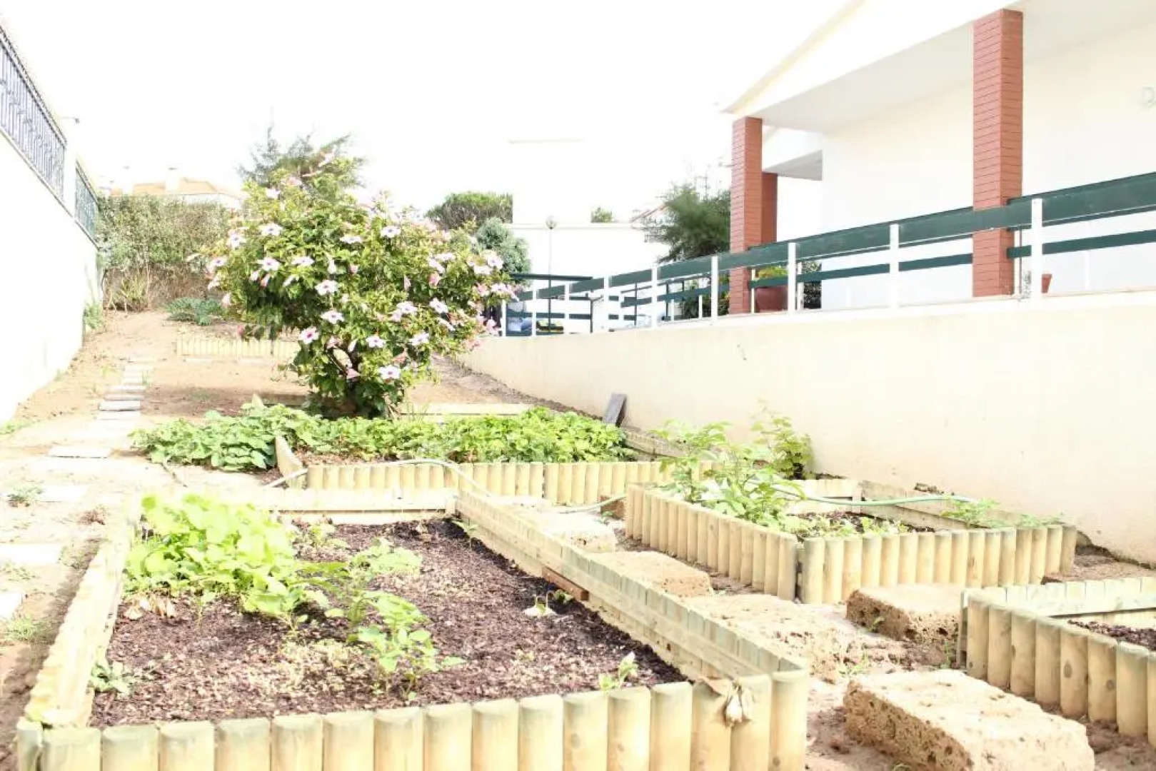 Canas Beach House - AL