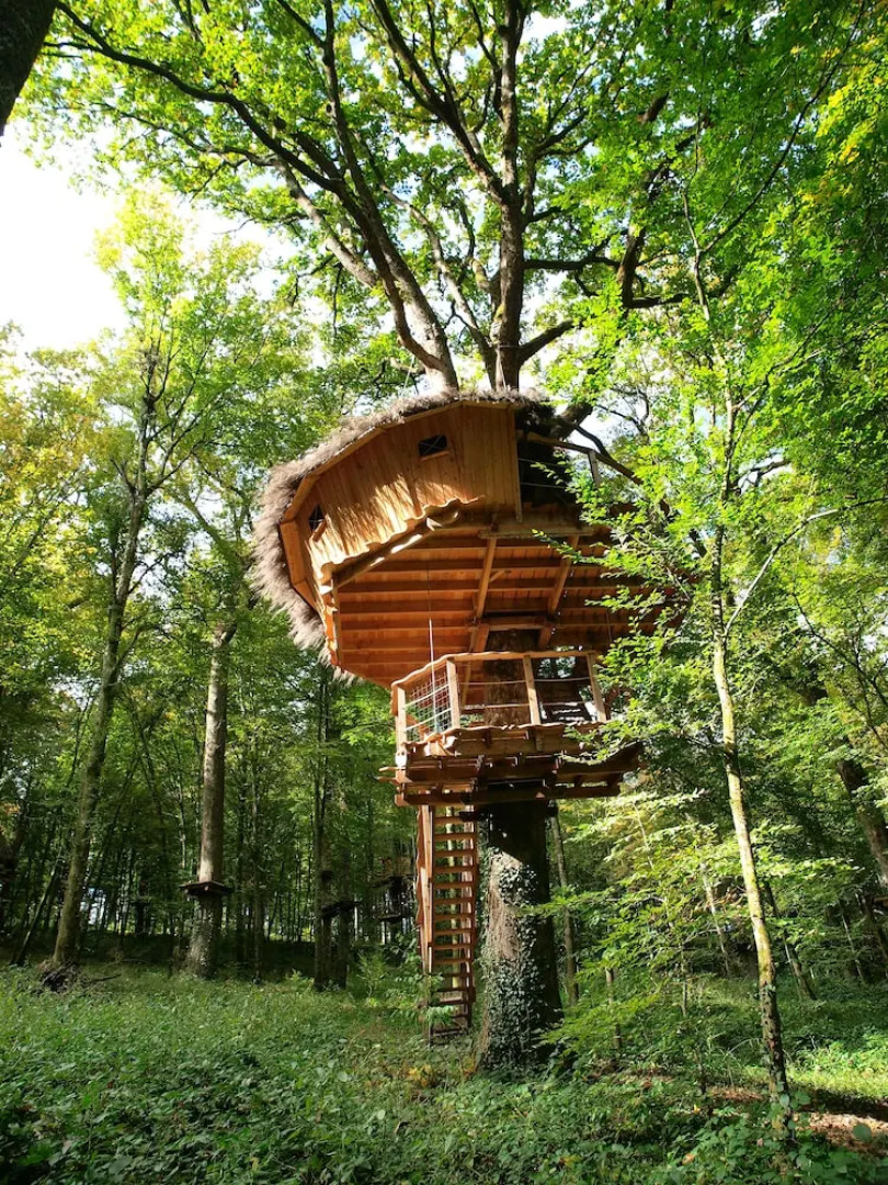 L'Arbre à Cabane
