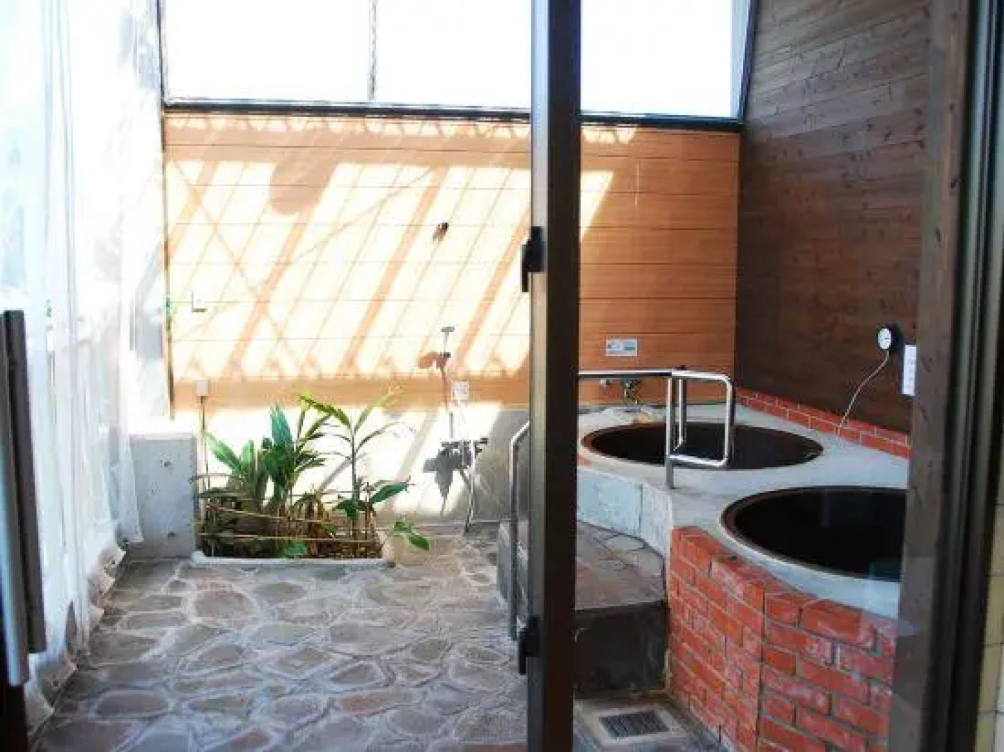 Yambaru Discovery Forest