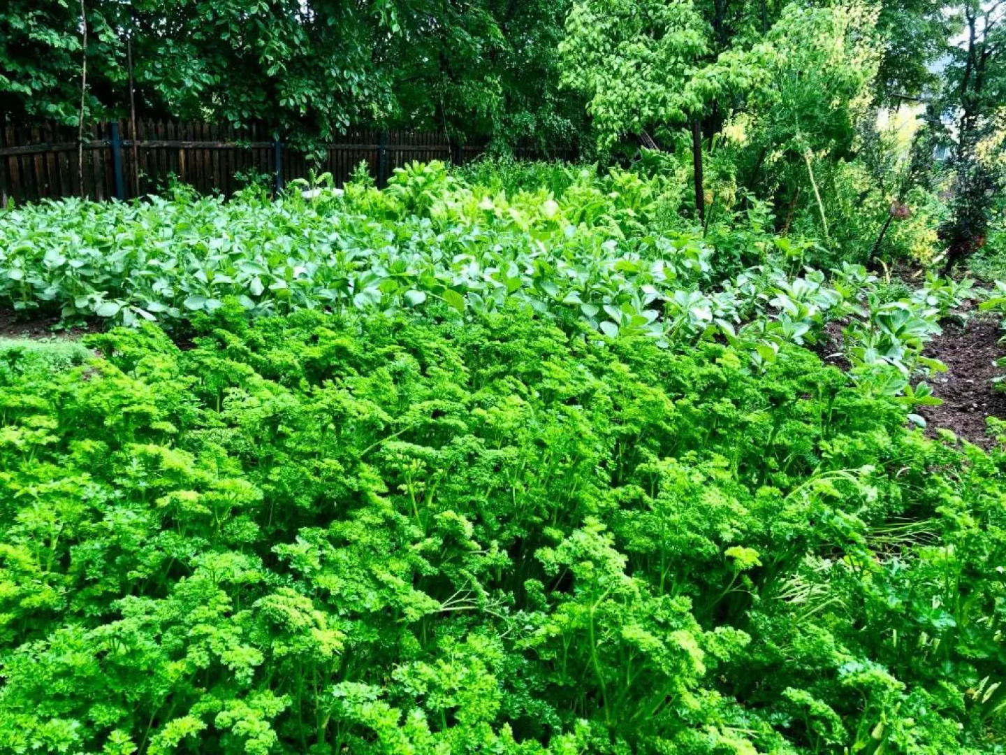 Villa Greta - Charm Of Tradition...