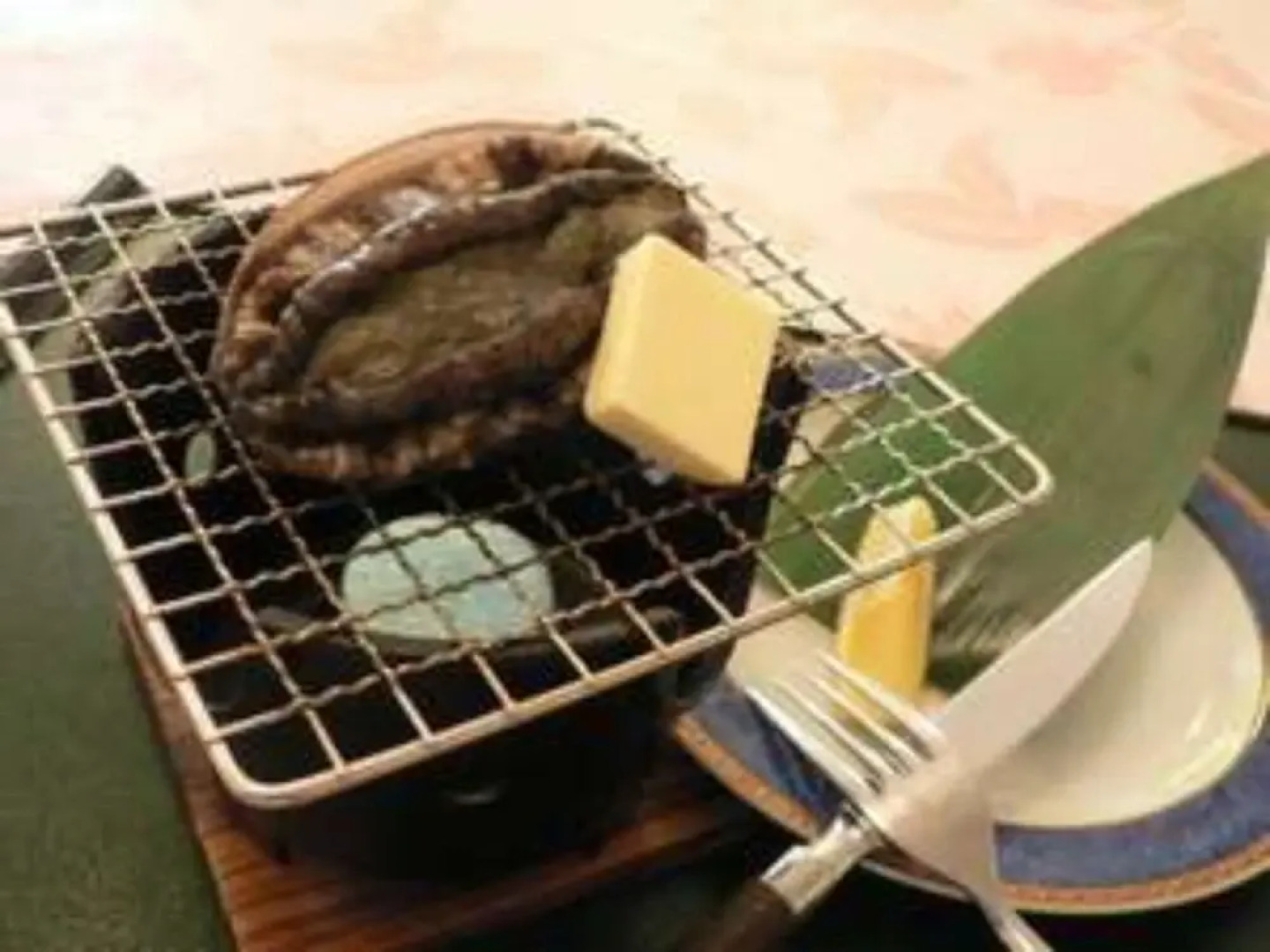 Shirako New Seaside Hotel