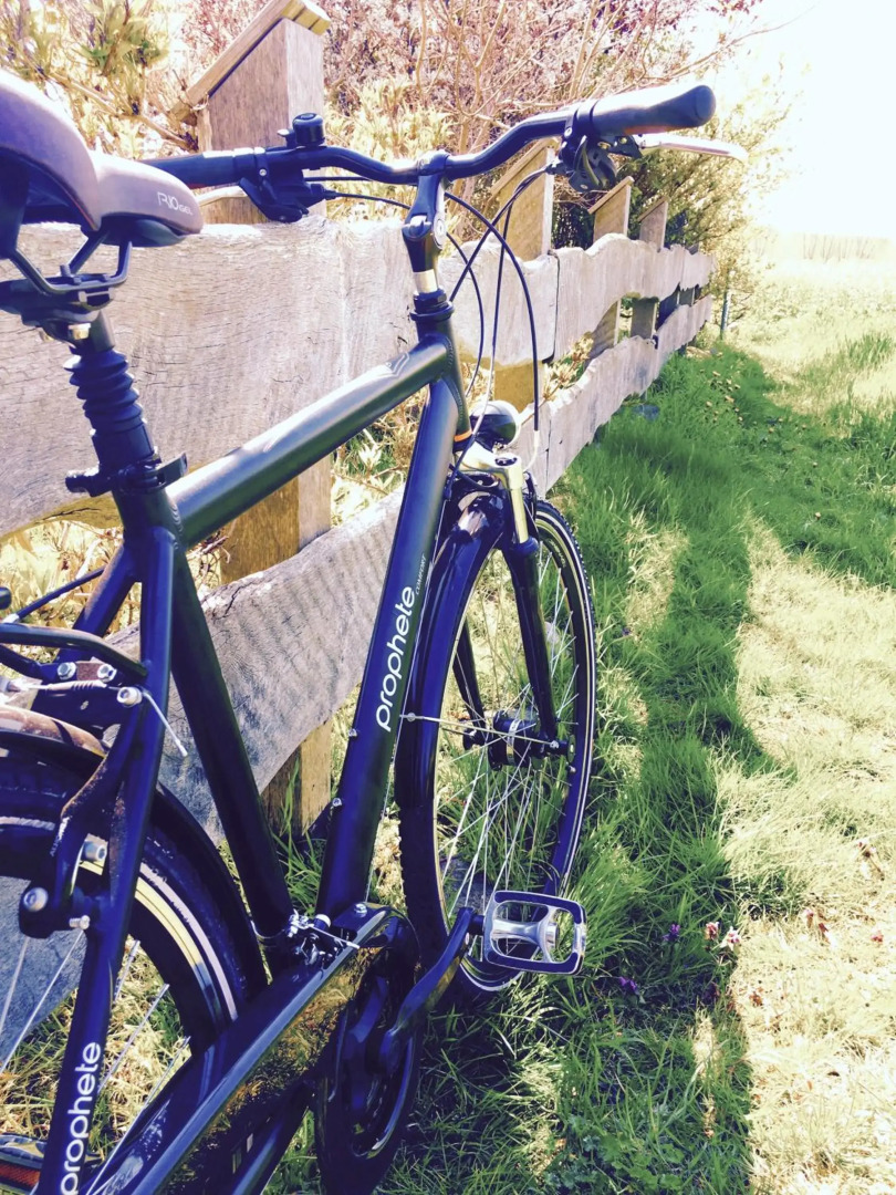 Die Mühle Appartements