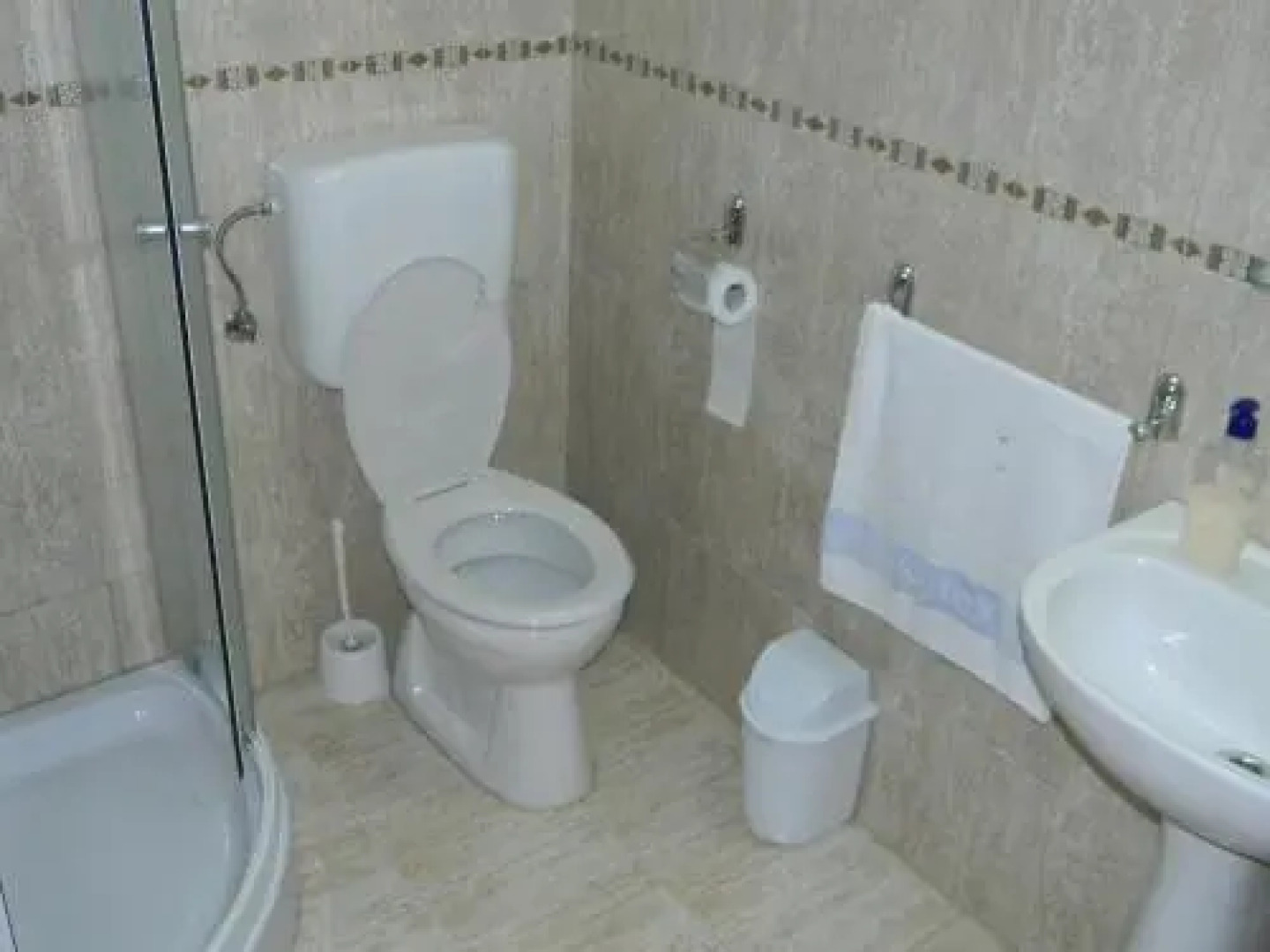 Pensiunea Teodora Teleptean