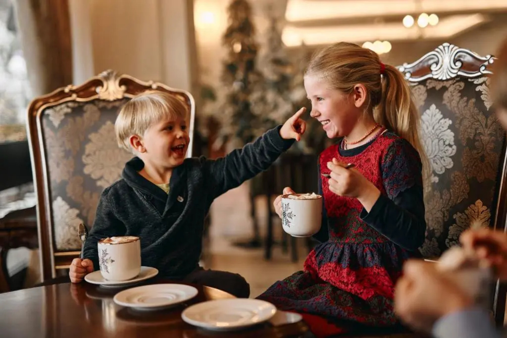 Hotel Bellevue - Liburnia