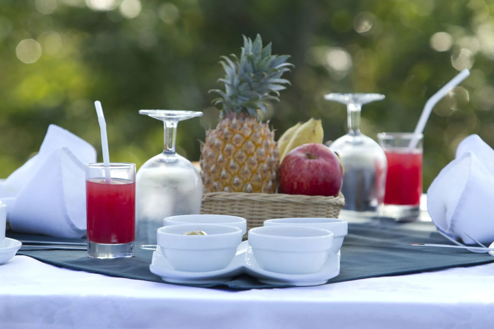 Mahoora - Udawalawe by Eco Team