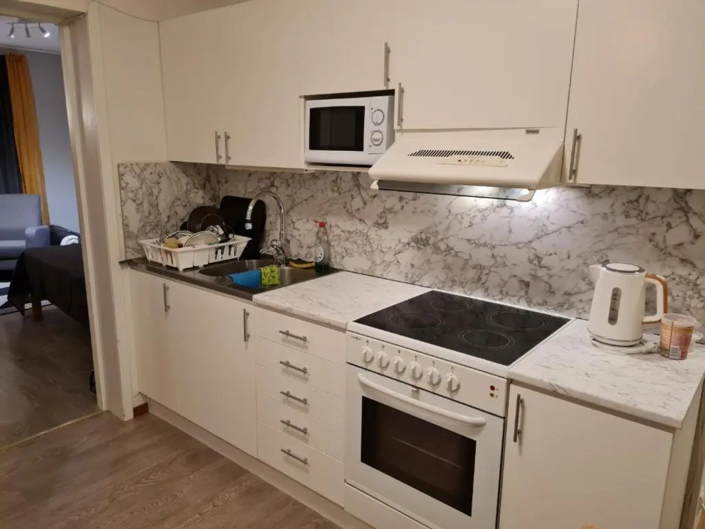 Mysig lägenhet med ett rum och kök 1103