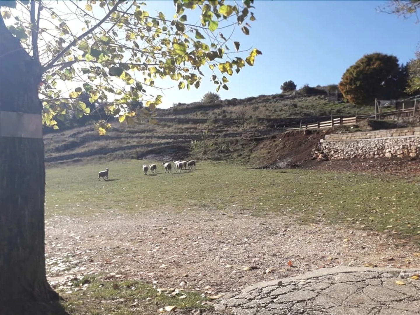 Agriturismo Monte Sacro