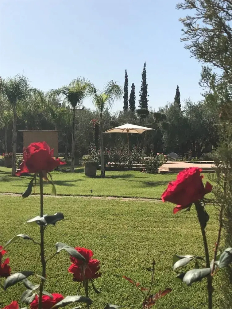 Villa Koutoubia Your Luxurious Oasis in Marrakech