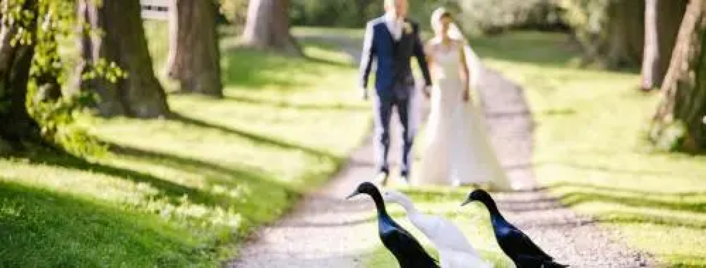 The Old Rectory of St James