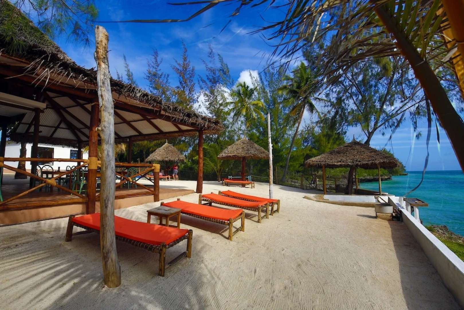 Zanzibar Blue Dolphin Bay