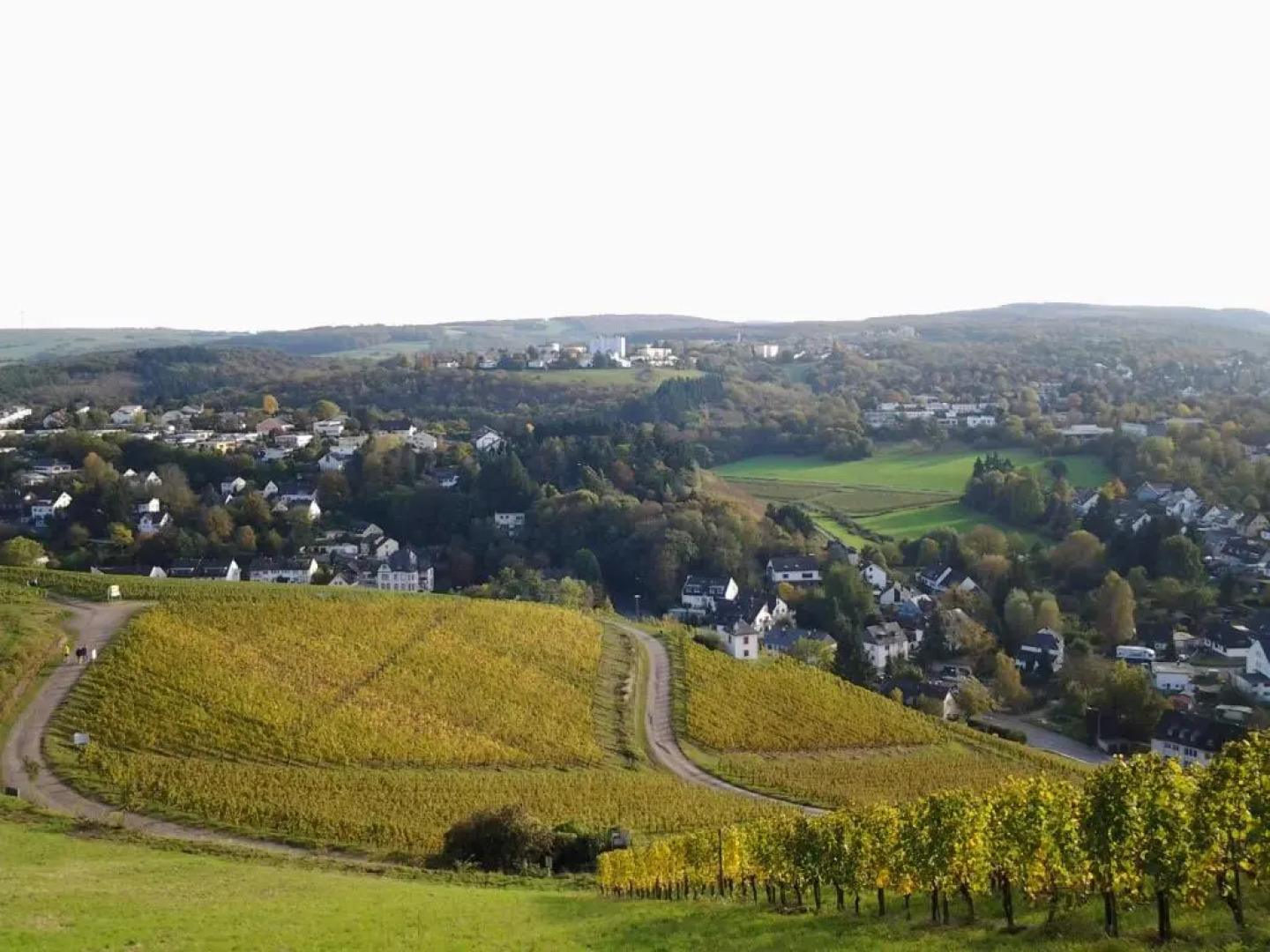 Saar-Mosel-Tal