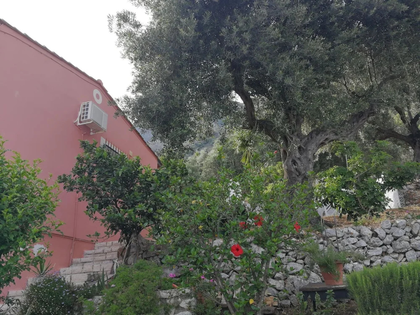 Sunrise View Apartments