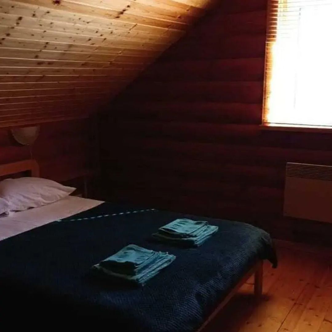 Рябинушка 1