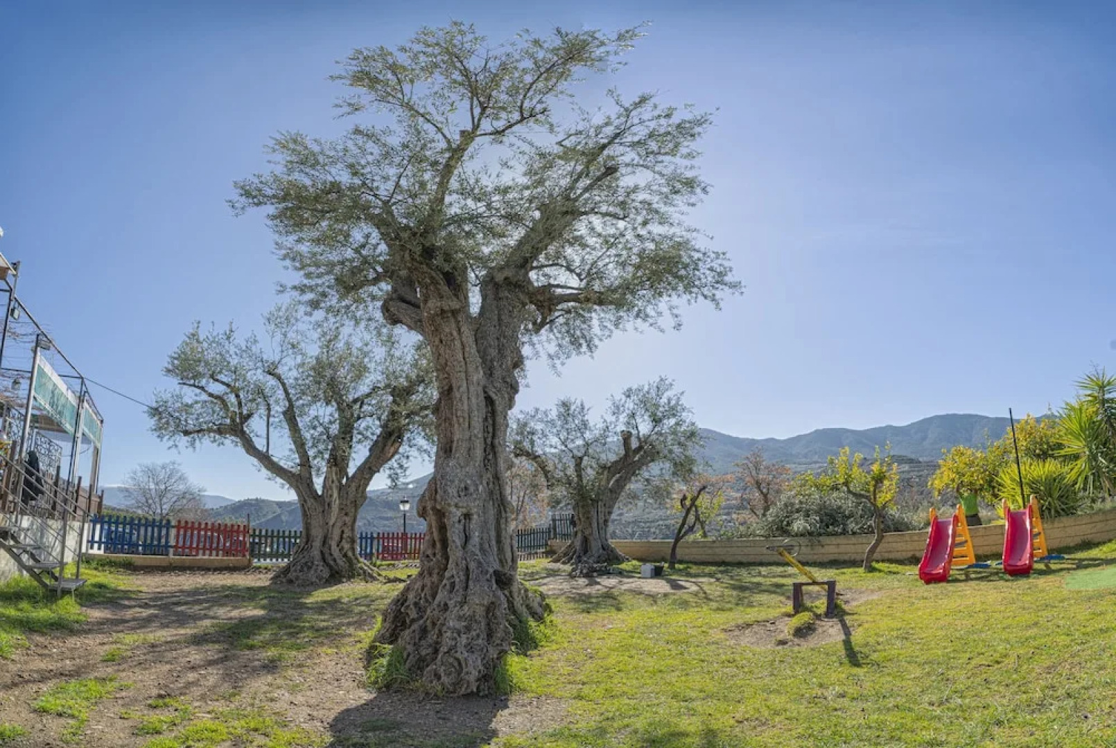Hostal y Apartamento Rural Los Naranjos