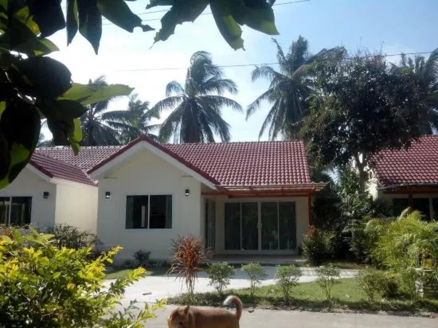 Golden Sea Beach Villa and Resort