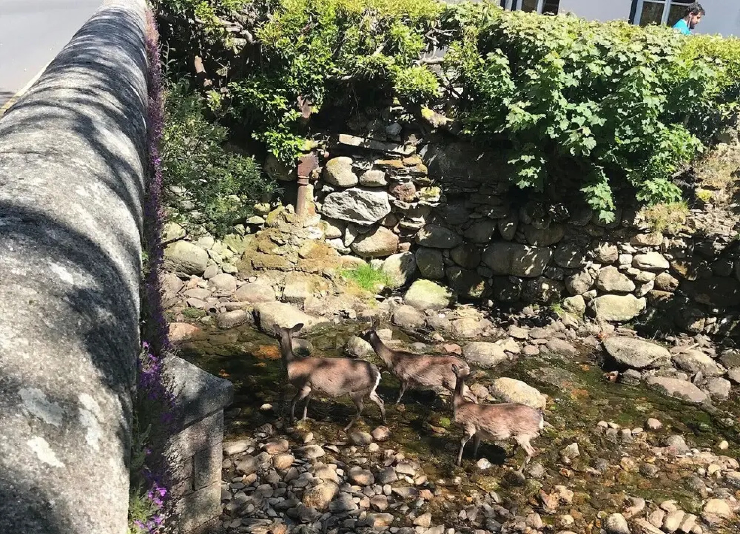 Brittas Bay Holiday Village