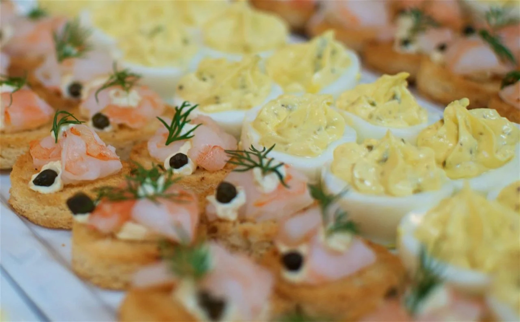 Southbank Hotel Jacksonville Riverwalk