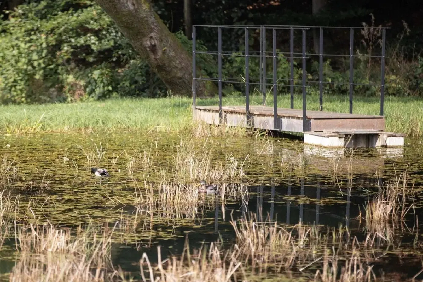 Woodland Cabin in Vencimont
