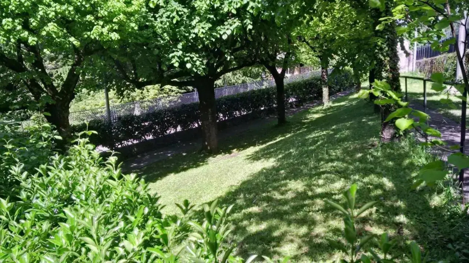 Shangrilla Hotel & Restaurant