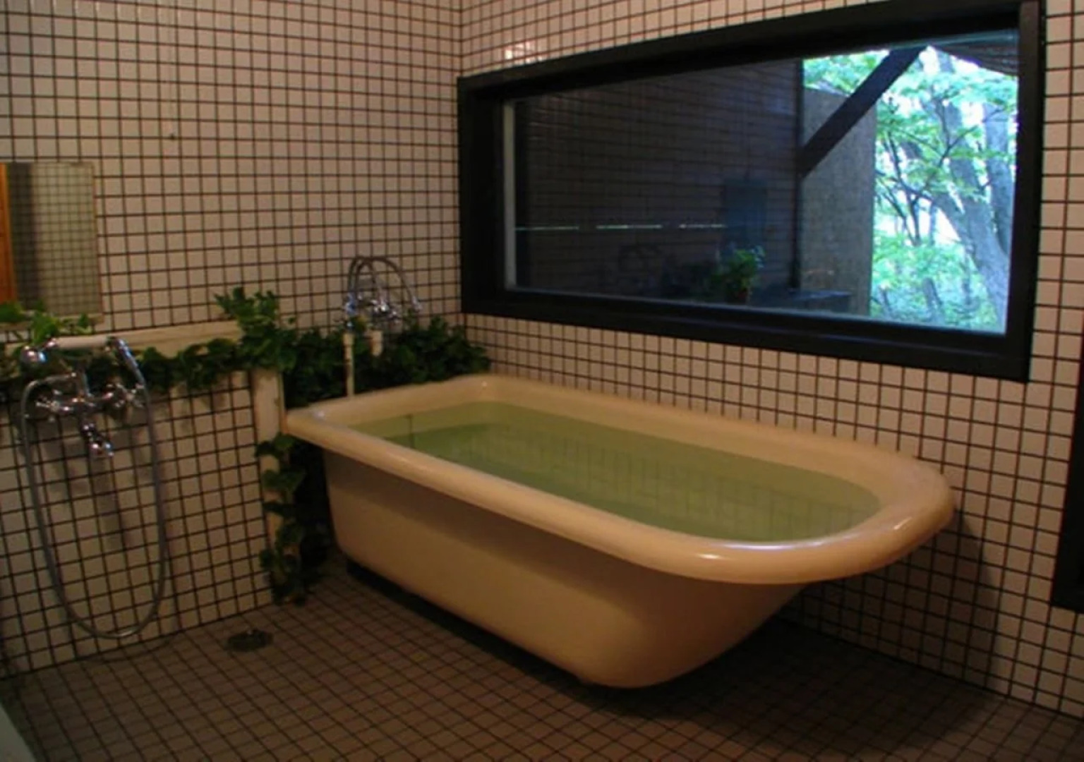 Shiretoko Villa Hotel Freeze