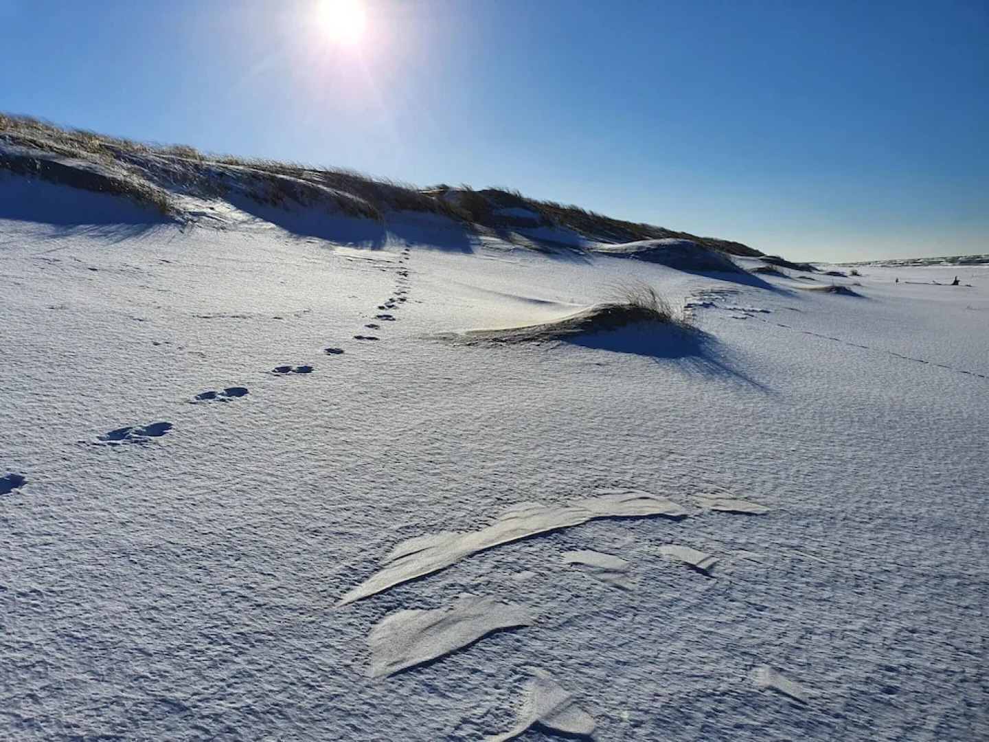 Fantastic House, Located Among Meadows and Nature, Near the Sea