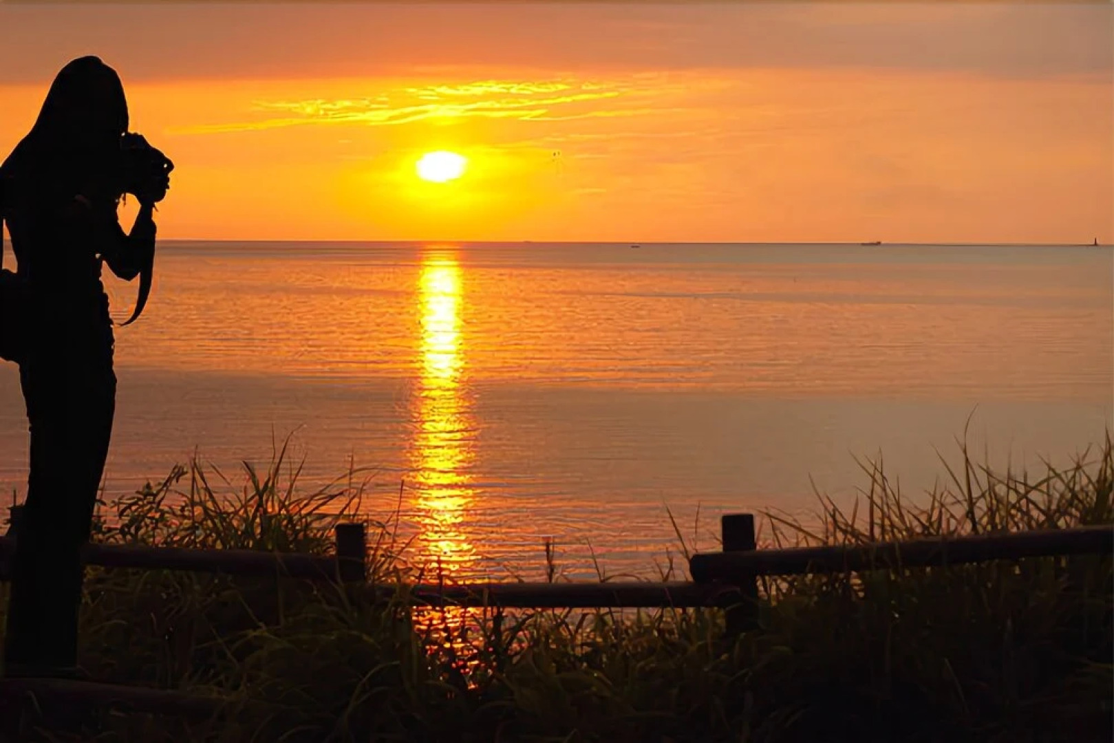 Naeip clover pension