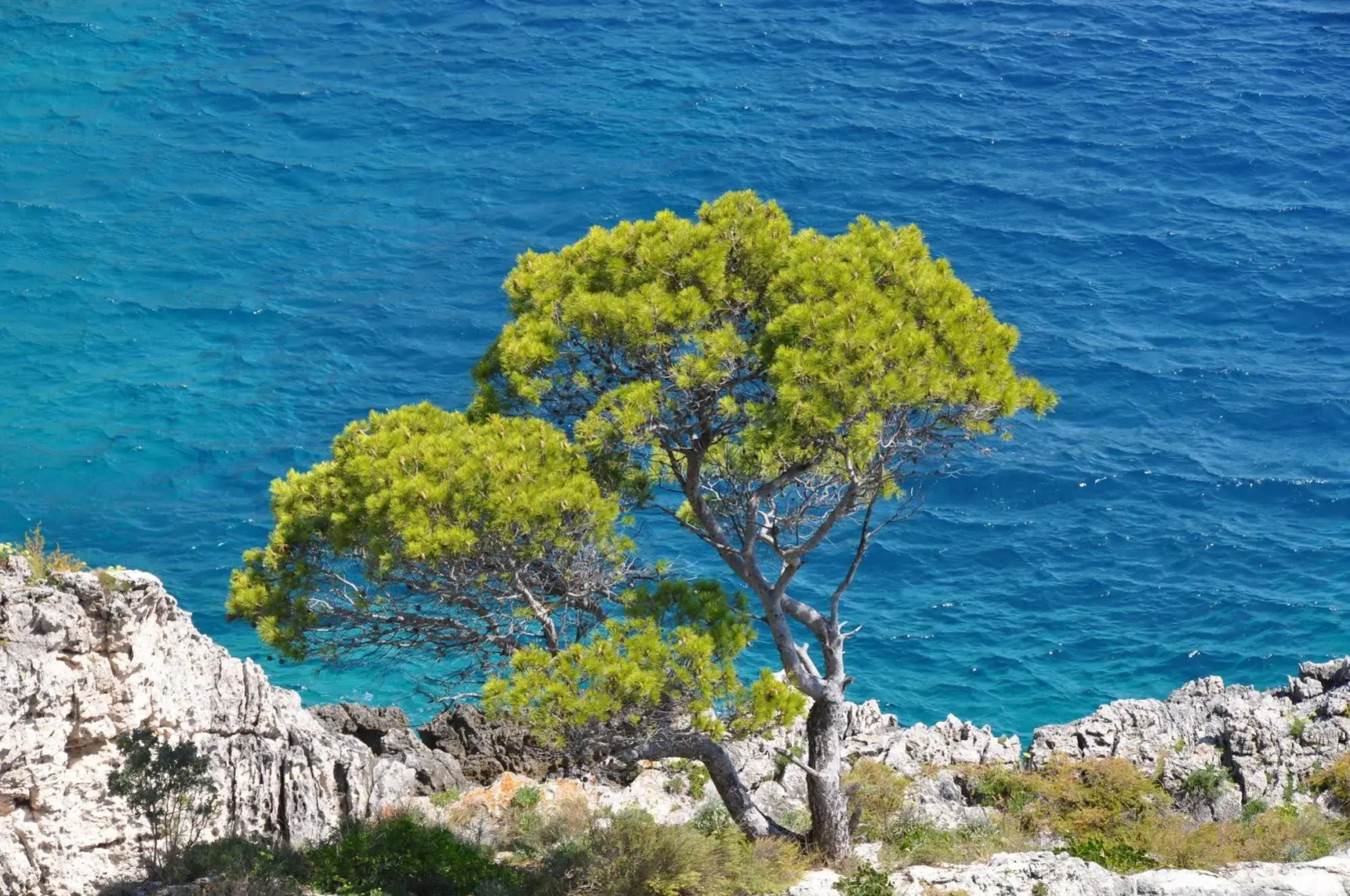 Touring Club Italiano - Isole Tremiti