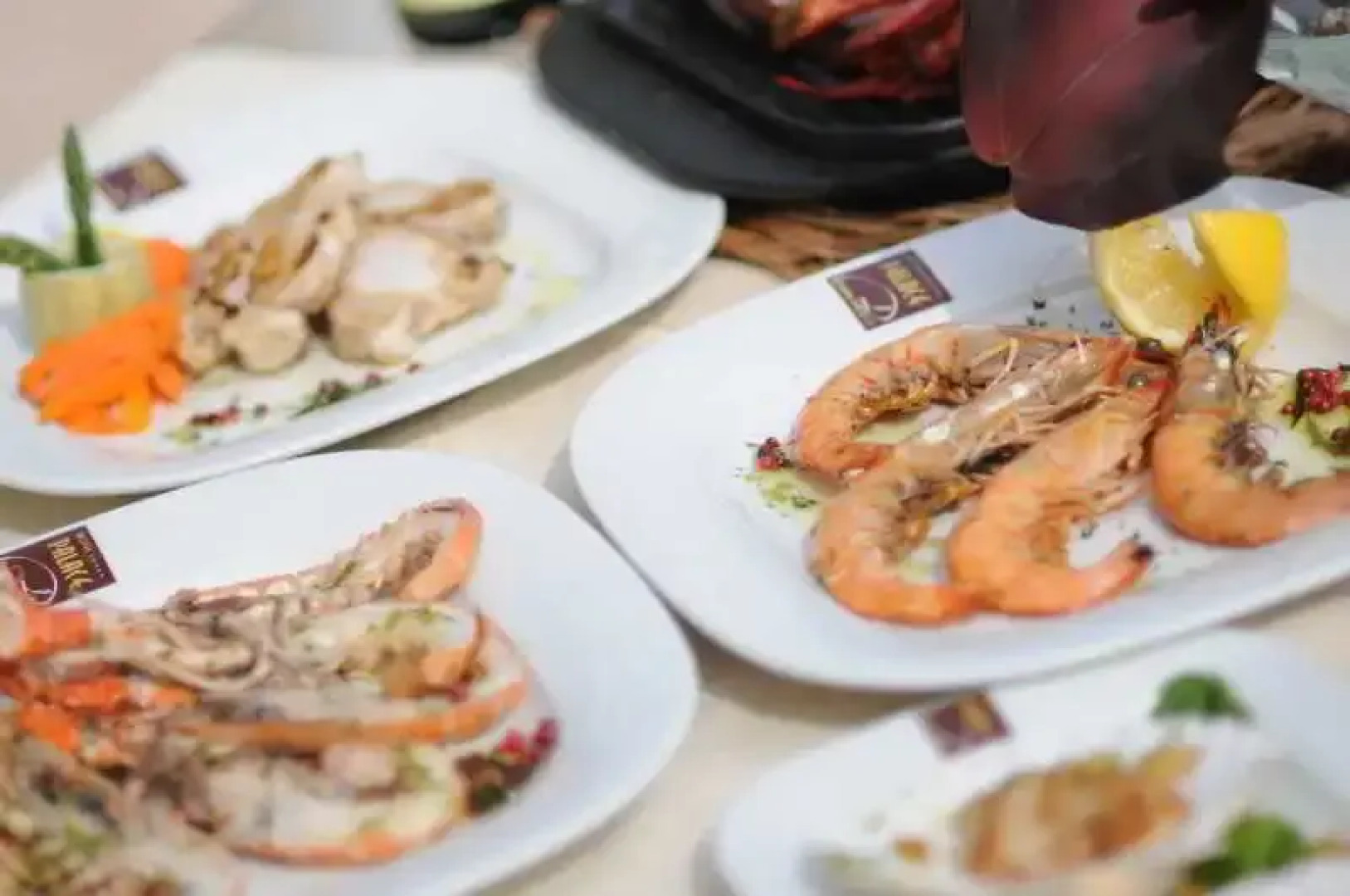 Vip Club Dolphin Coast