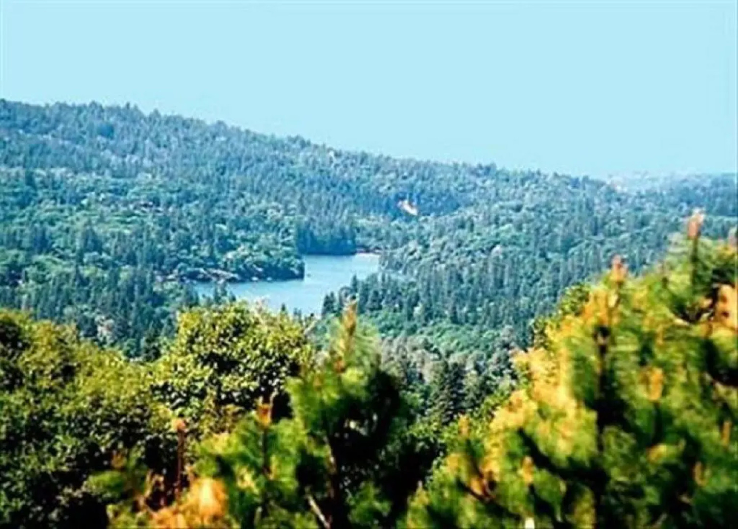 Sierra Sun Cloud Inn - Colfax