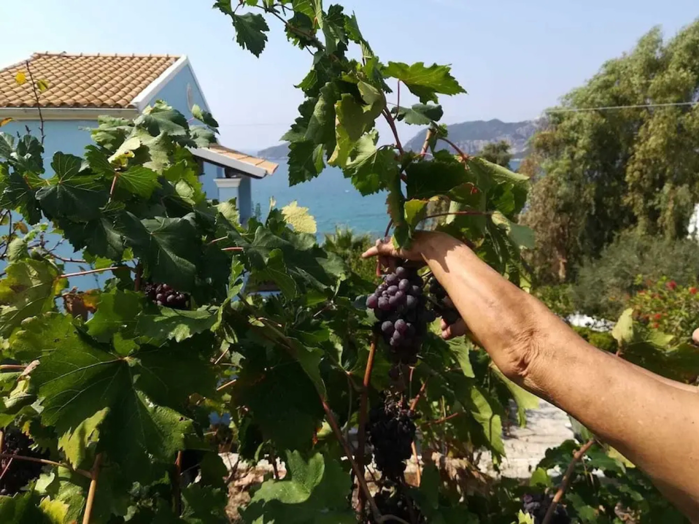 Agios Georgios - 2 Beds - Sleeps 5 - Free Parking