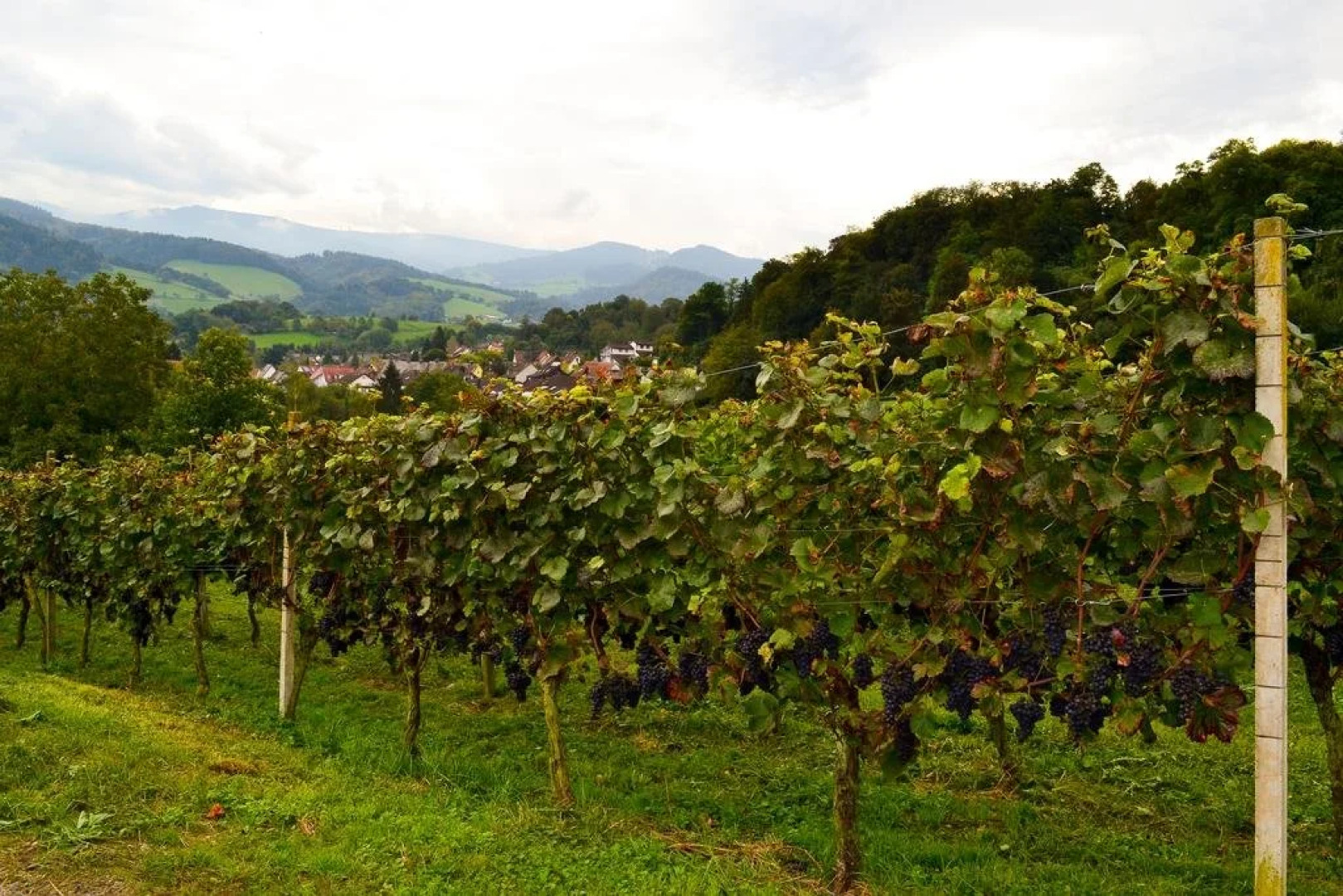 Hotel Restaurant Frohe Einkehr