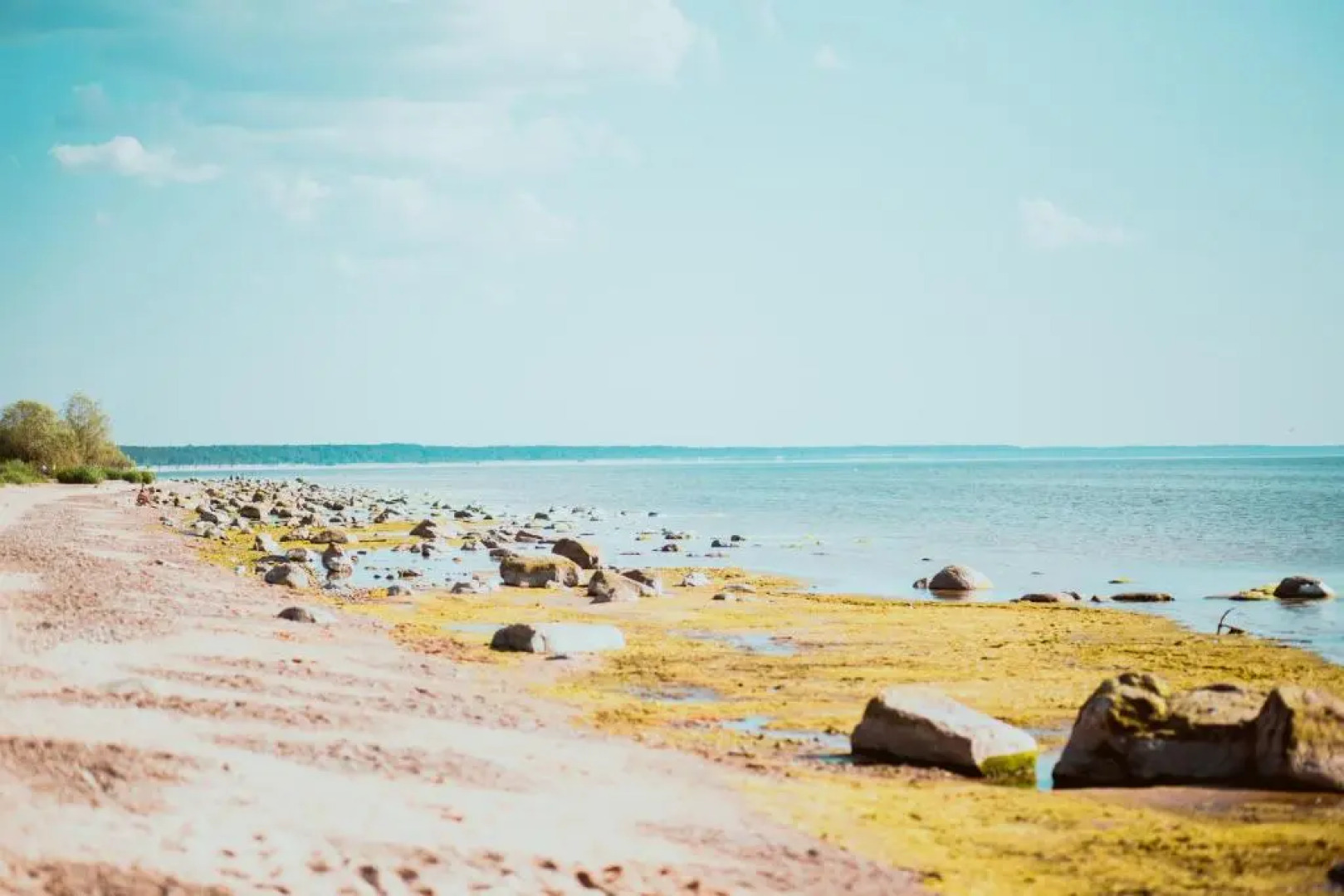 Guest House Baltās Dūjas