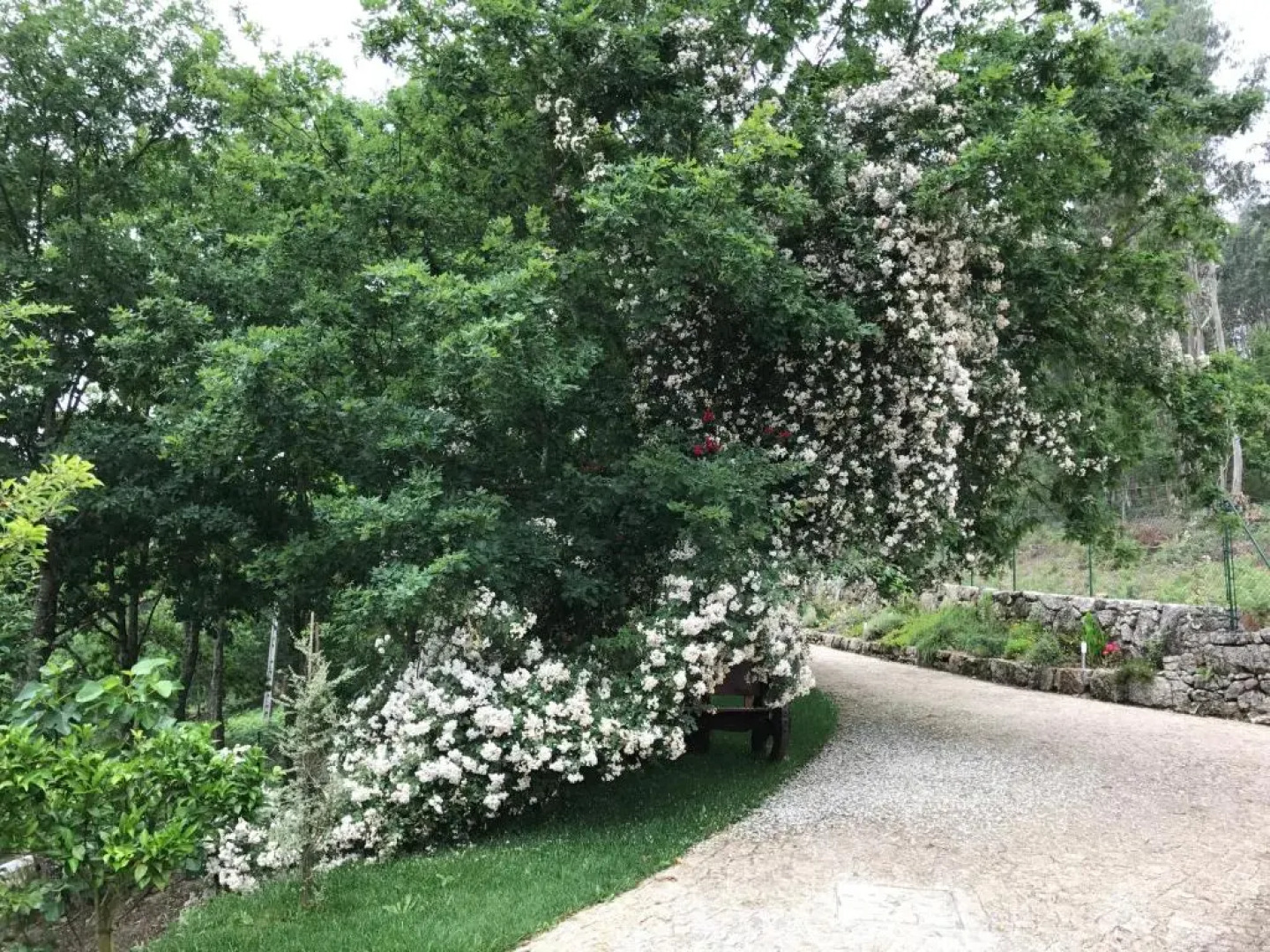 Quinta Paraíso do Ermal