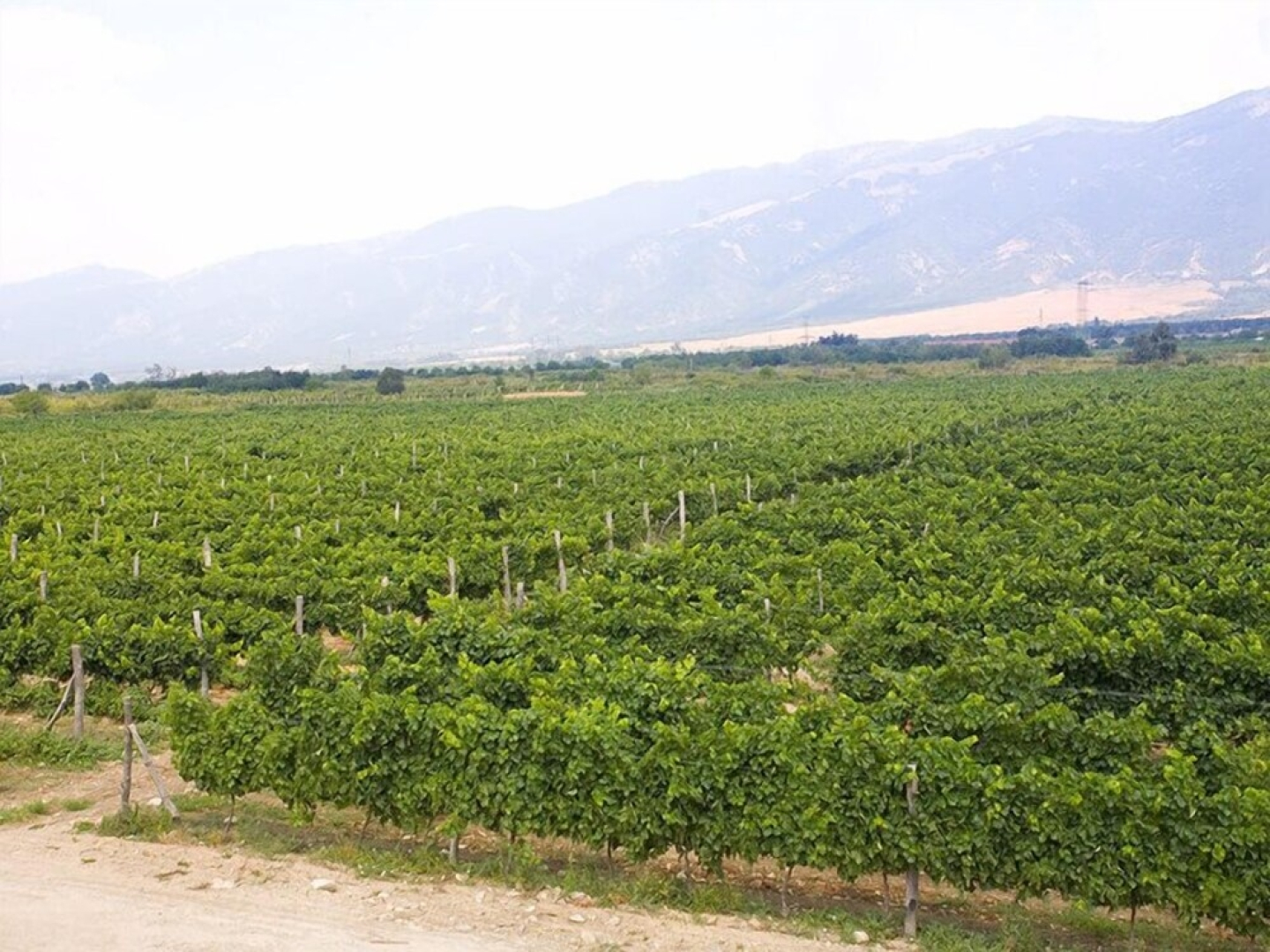 Maison & Chateau Copsa