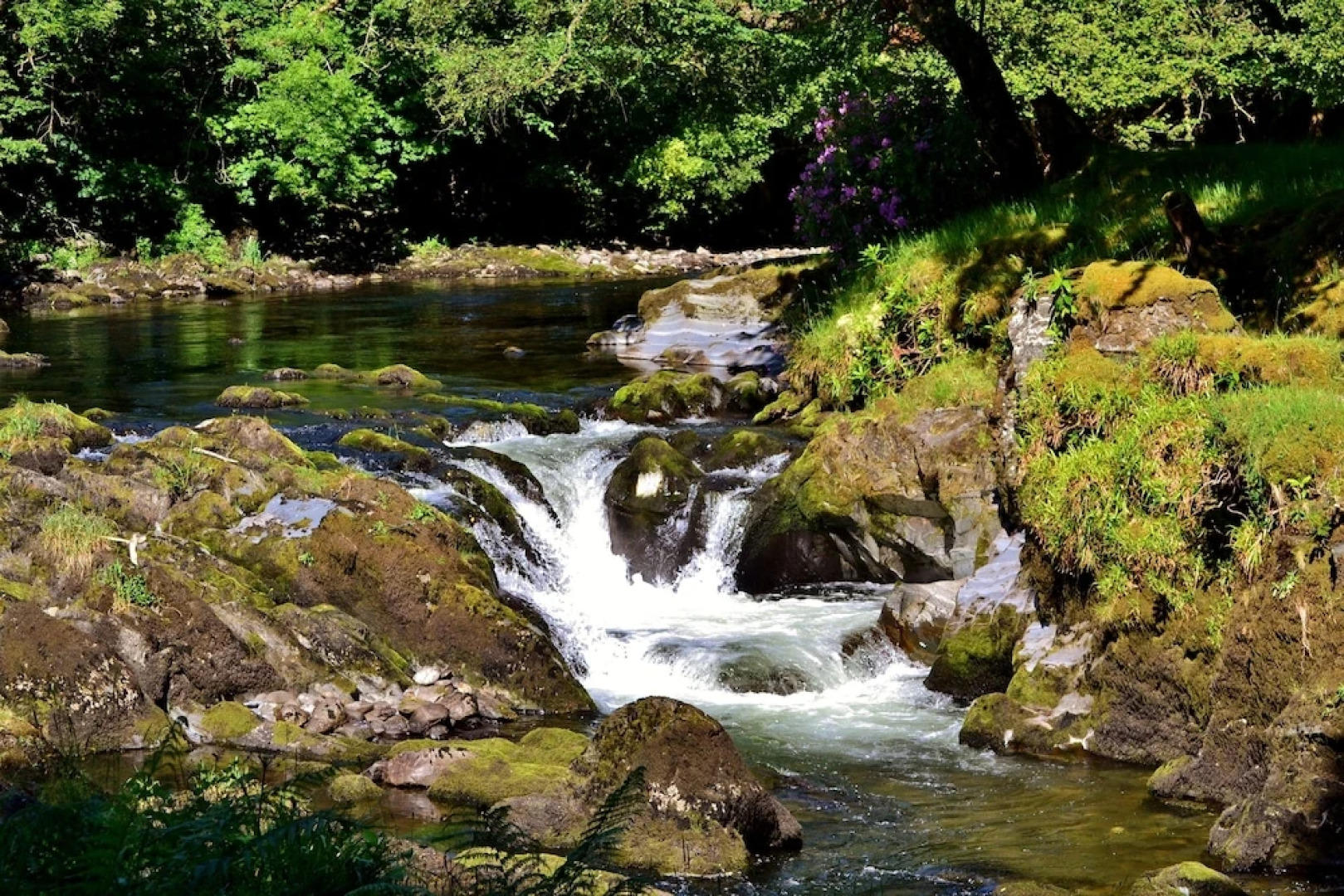 The Firecat Country House B&B