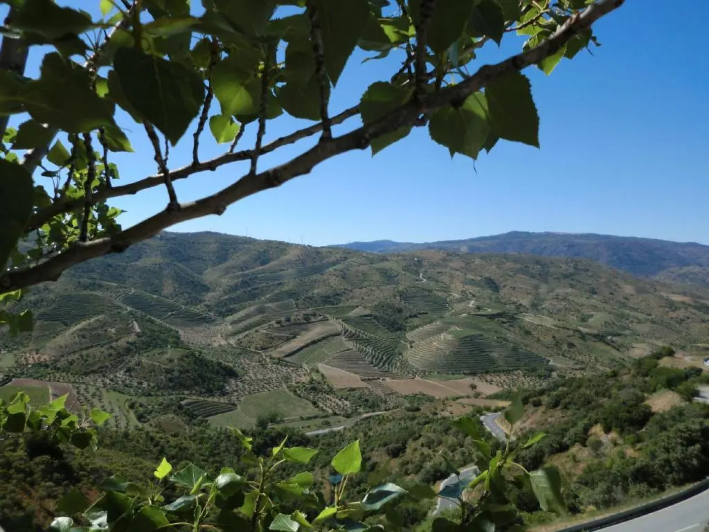 Pousada Da Juventude De Foz Coa