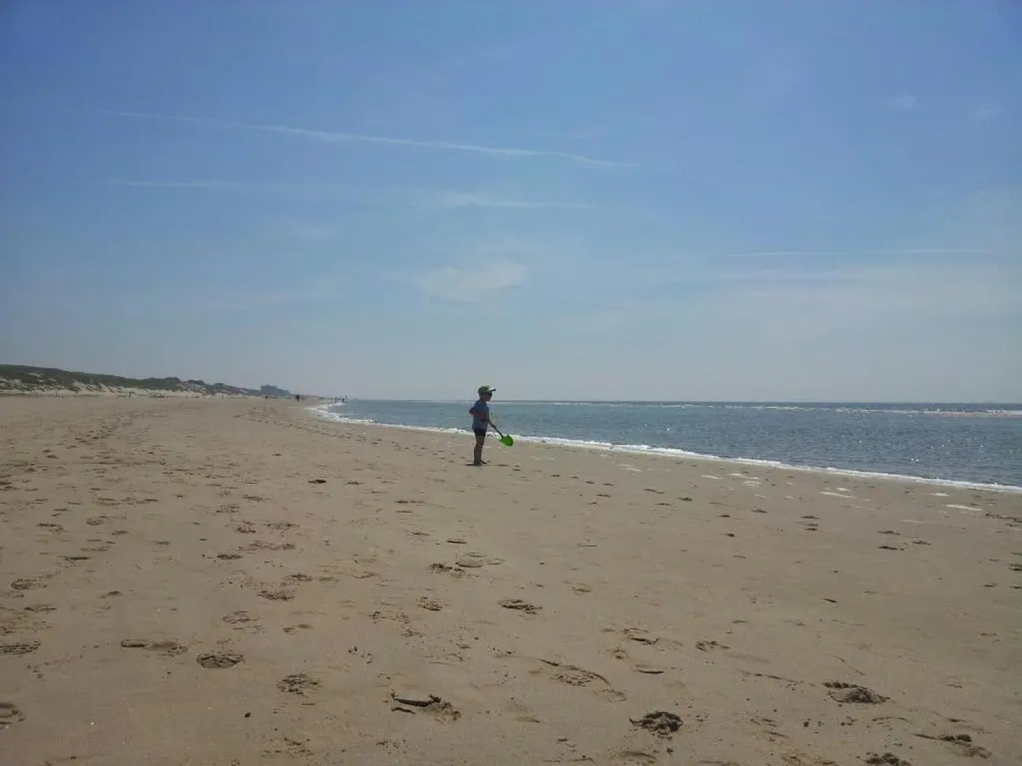 Zomerhuis De Zeedistel