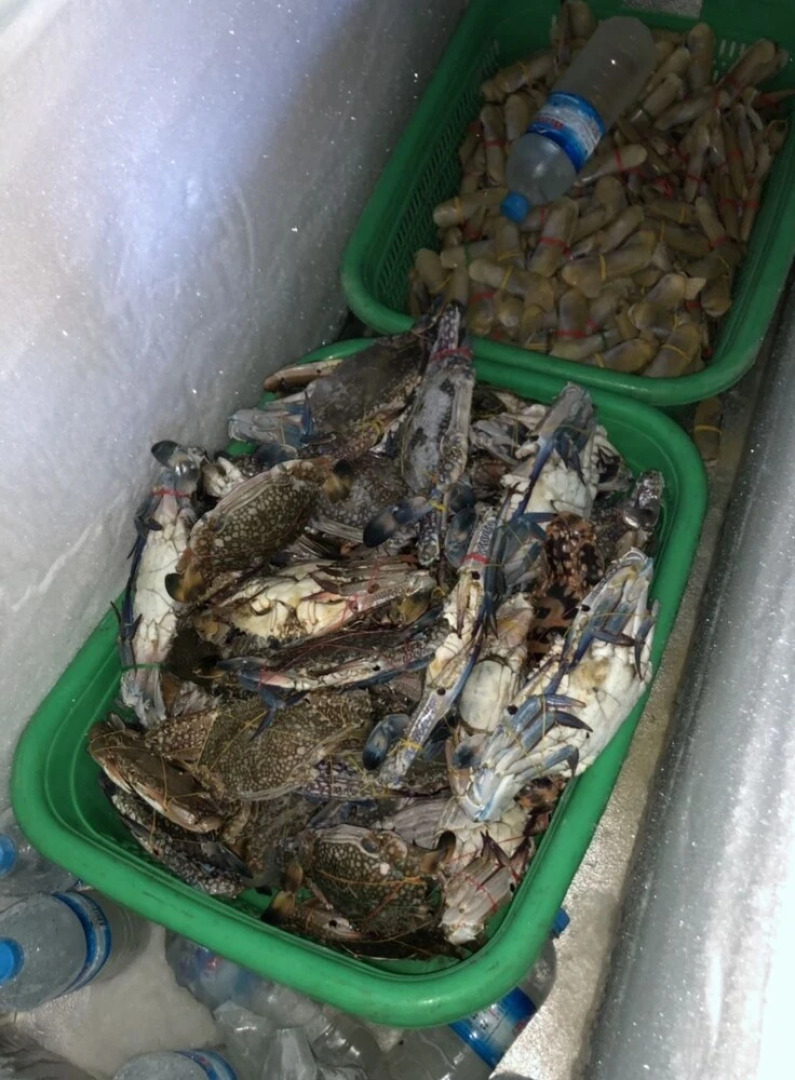 Sea Breeze Lodge Ngapali