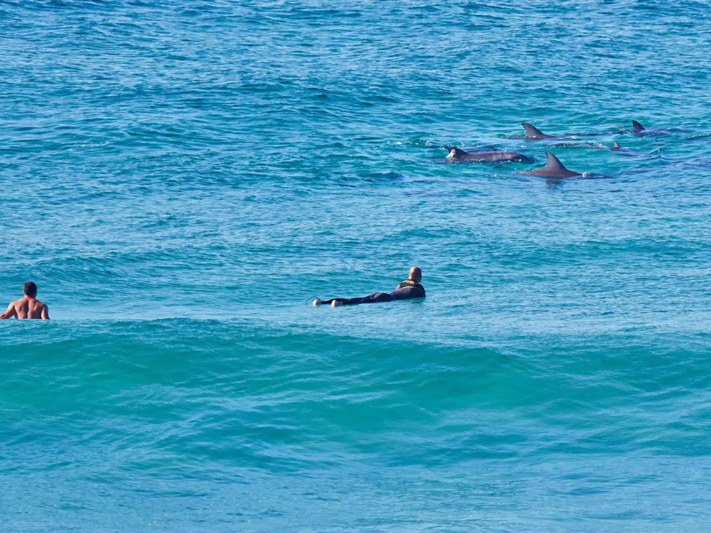 Nautilus 6 Beach Front Bliss