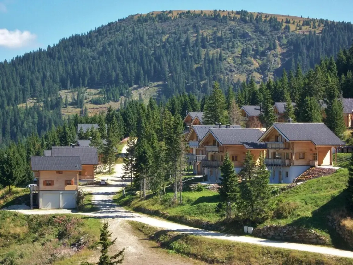 Wooden Chalet in Koralpe Amid the Forest