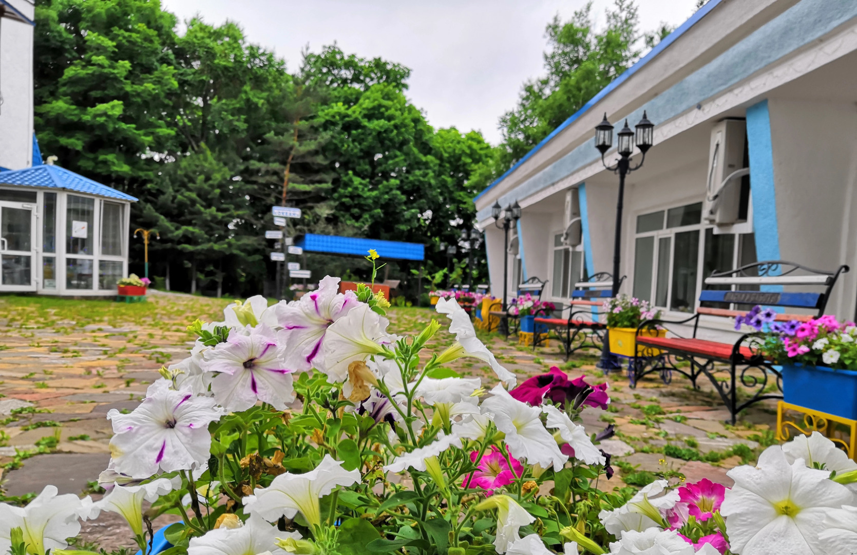 Океан (Владивосток)