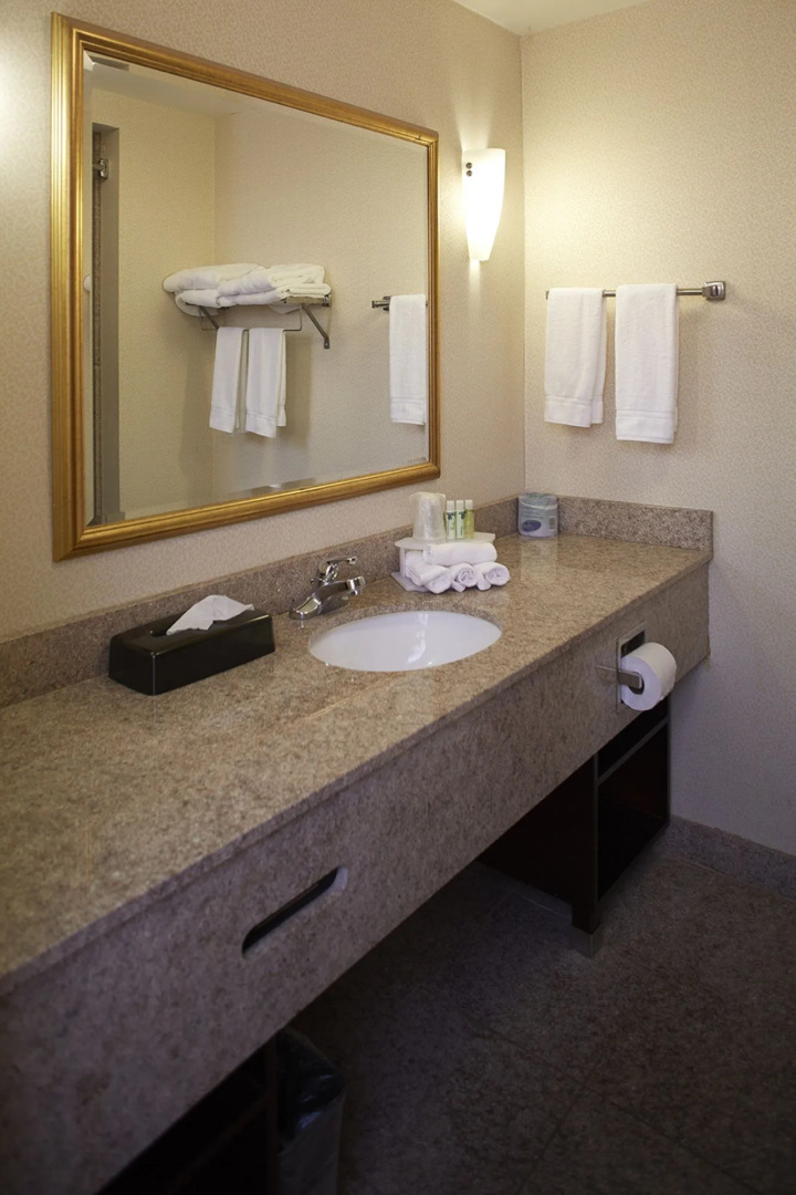 Holiday Inn Express & Suites Orangeburg by IHG