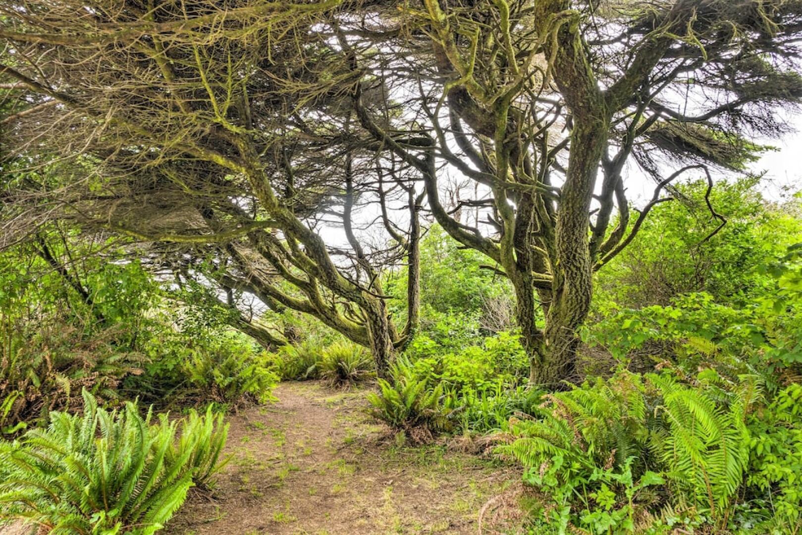 Serenity By The Sea - Chic Oceanfront Home w/ Deck