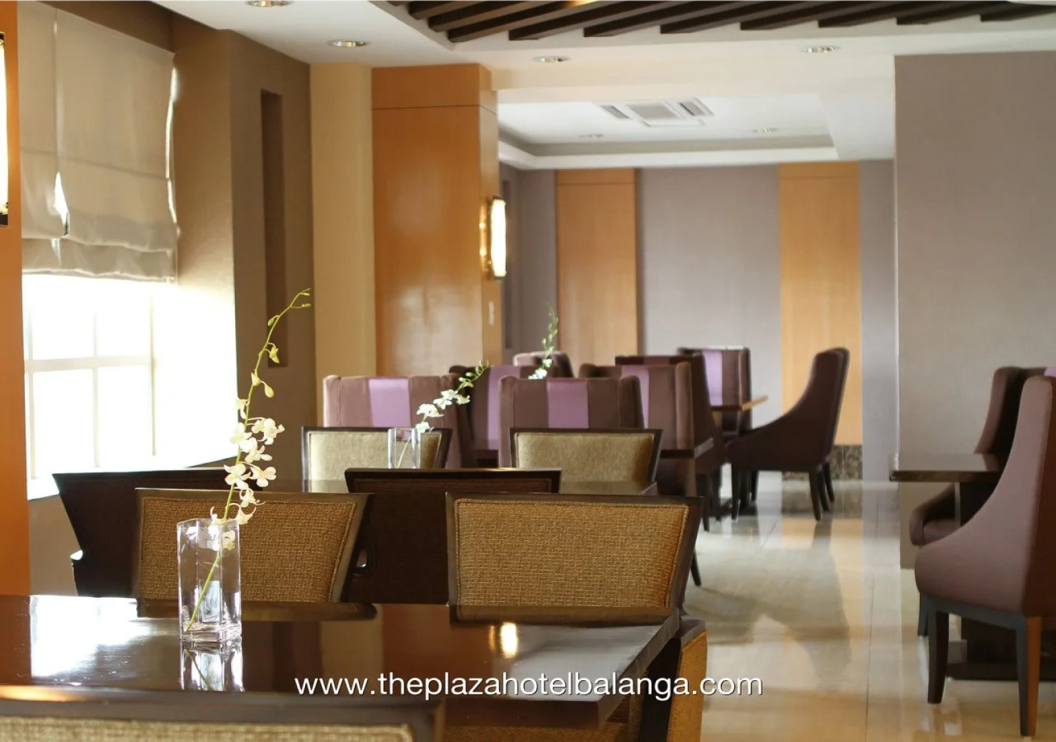 The Plaza Hotel Balanga City