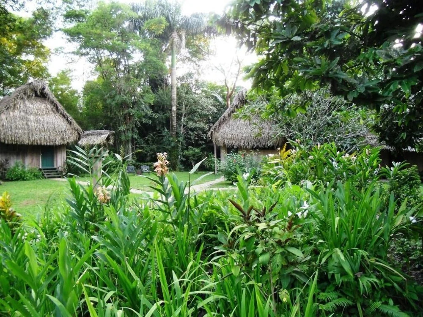Creekside Oasis