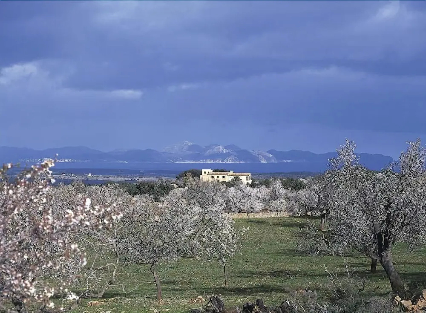 Finca Sos Ferres D'en Morey